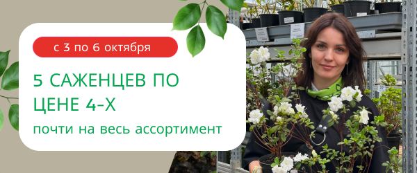 oblozhka