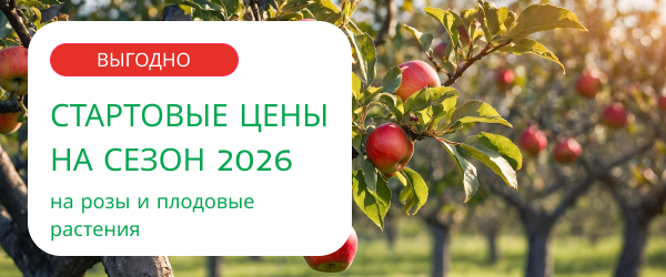 oblozhka