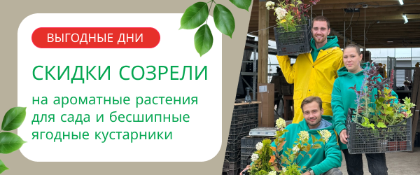 oblozhka