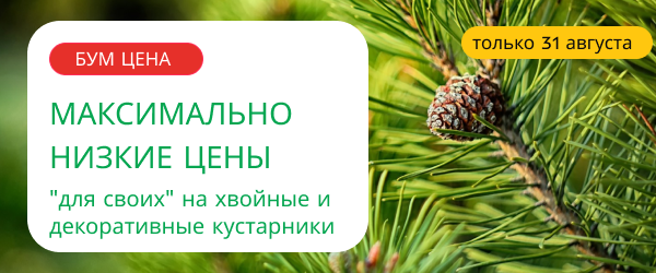 oblozhka