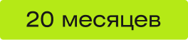 20 месяцев