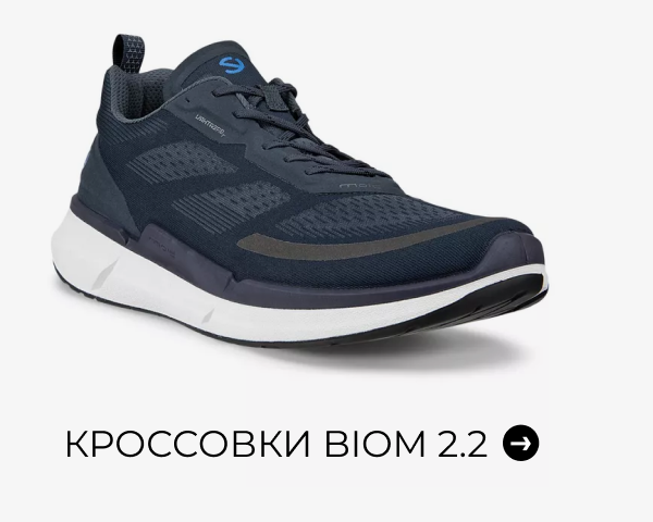 Кроссовки BIOM 2.2