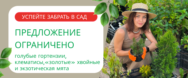 oblozhka