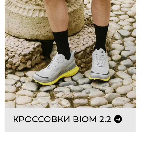 Кроссовки BIOM 2.2