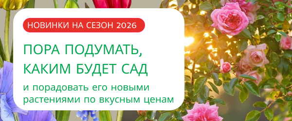 oblozhka