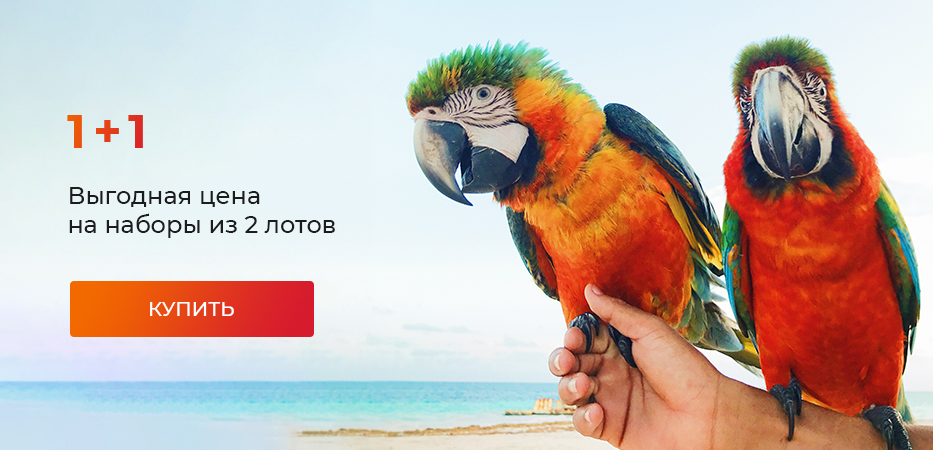 1+1: выгодная цена на наборы из 2 лотов