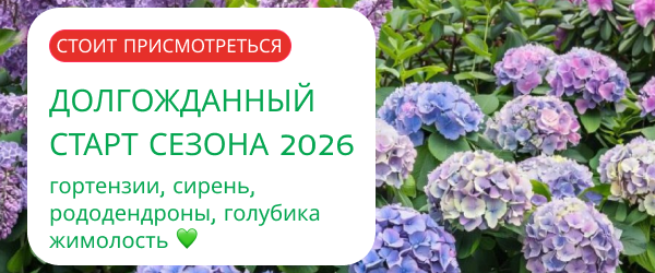 oblozhka