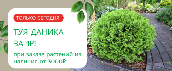 oblozhka