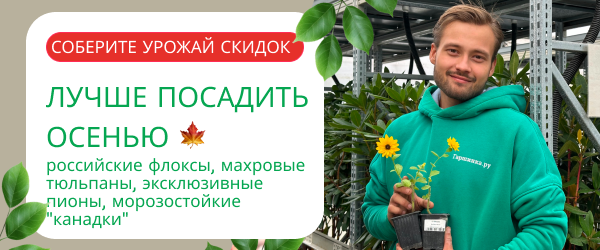 oblozhka