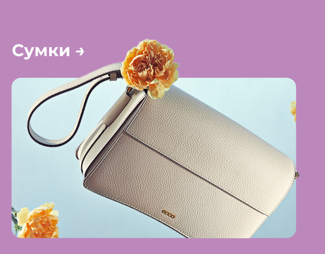 Сумки →