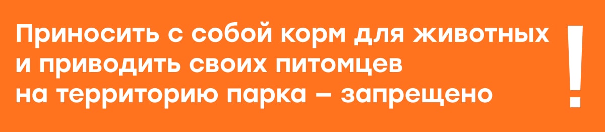 Как добраться до горного парка альпак «Пача Мама»?