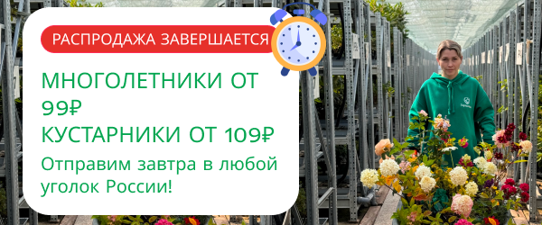 oblozhka