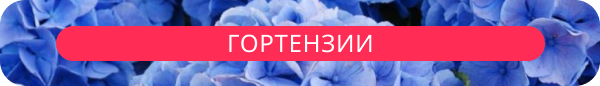 upper banner