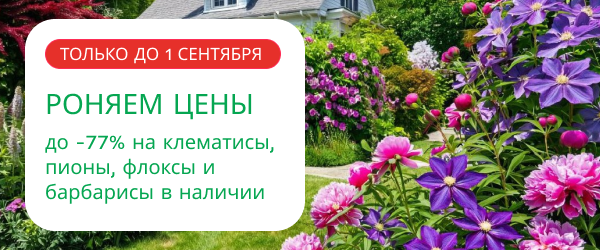 oblozhka
