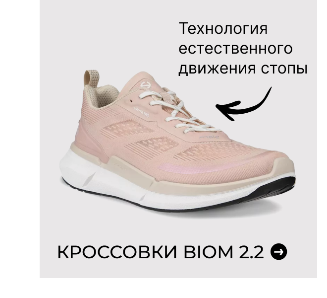 Кроссовки BIOM 2.2